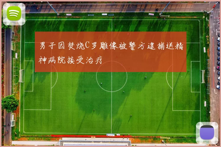 男子因焚烧C罗雕像被警方逮捕送精神病院接受治疗